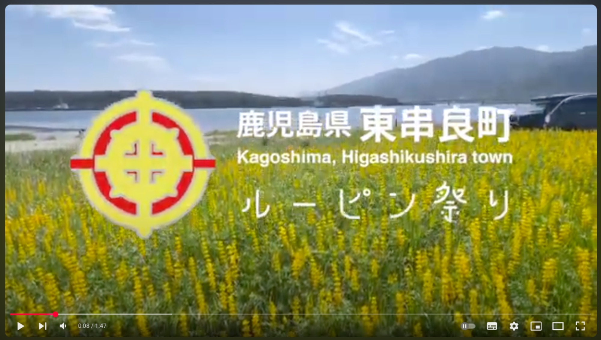 動画制作